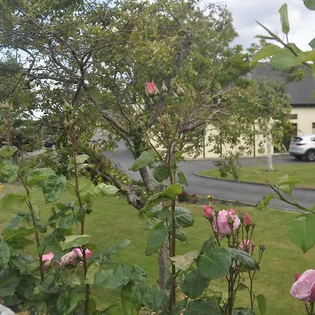 Shalom Bed and breakfast Carlingford