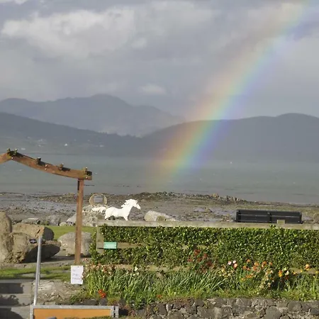 Shalom Carlingford
